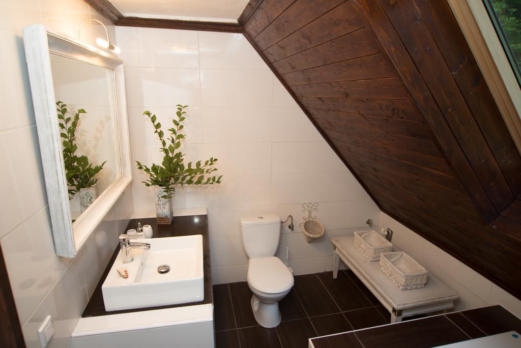 Chalupa Dlouhy Dul 19 Krasna Lipa Room photo